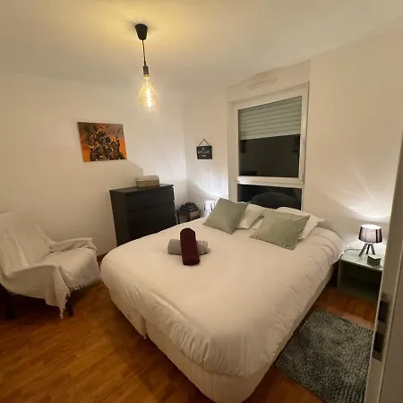 Maison Et Piscine Europa Park Visite Alsace - 9 Pers Holiday home Rossfeld