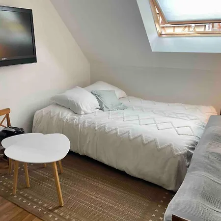 펜션 Maison Et Piscine Europa Park Visite Alsace - 9 Pers *