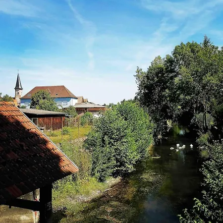 Maison Et Piscine Europa Park Visite Alsace - 9 Pers Holiday home Rossfeld