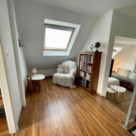 Maison Et Piscine Europa Park Visite Alsace - 9 Pers Holiday home Rossfeld