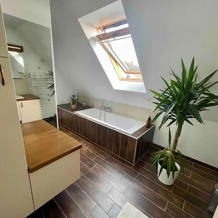 Maison Et Piscine Europa Park Visite Alsace - 9 Pers * Rossfeld