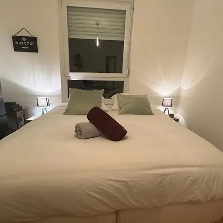 Maison Et Piscine Europa Park Visite Alsace - 9 Pers * Rossfeld