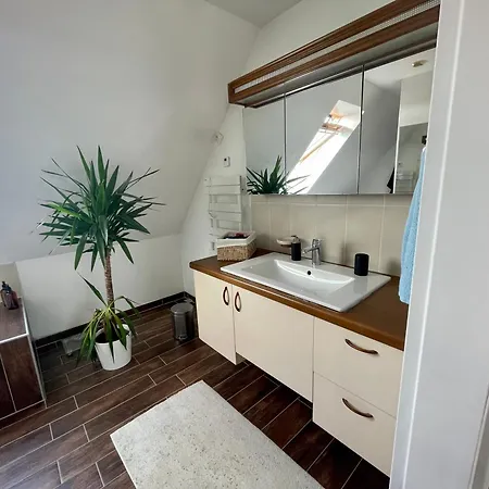 Maison Et Piscine Europa Park Visite Alsace - 9 Pers Holiday home Rossfeld